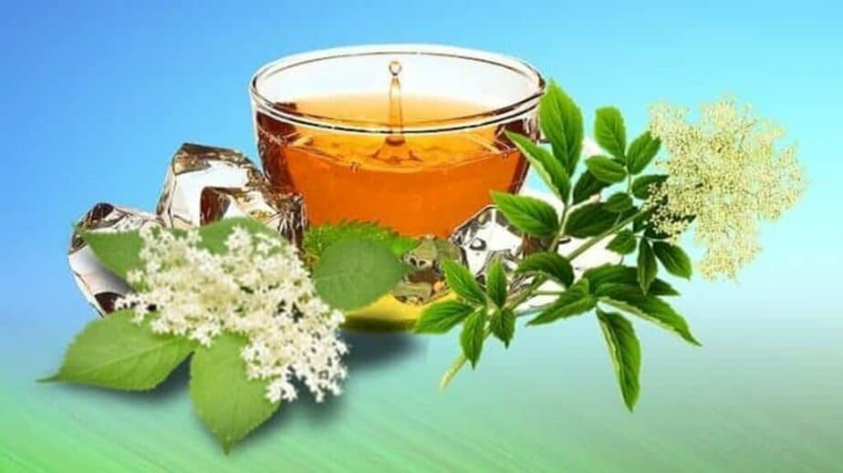 Health Benefits Of Elderflower