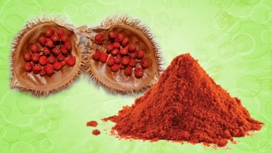Achiote Powder Substitutes And Uses