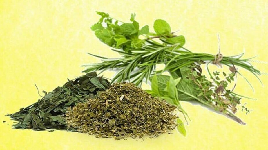 Dried Herbs Vs Fresh