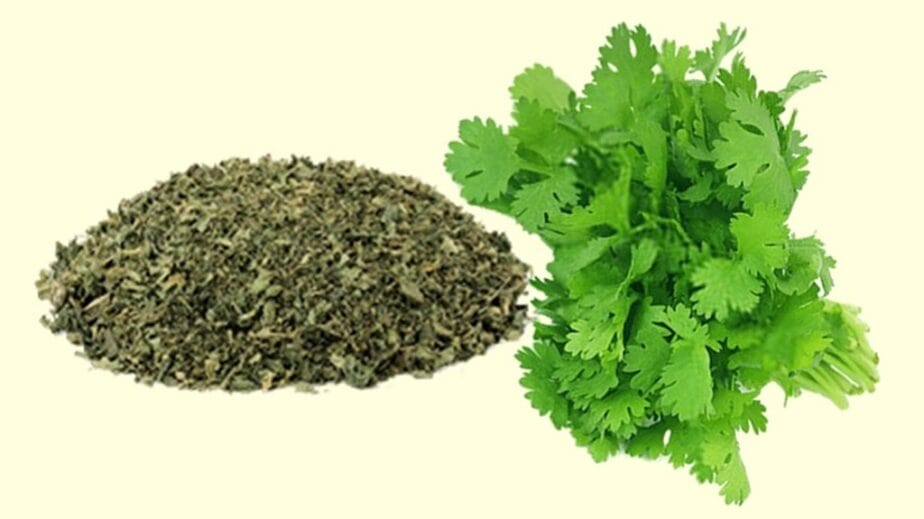 Dried Cilantro Vs Fresh