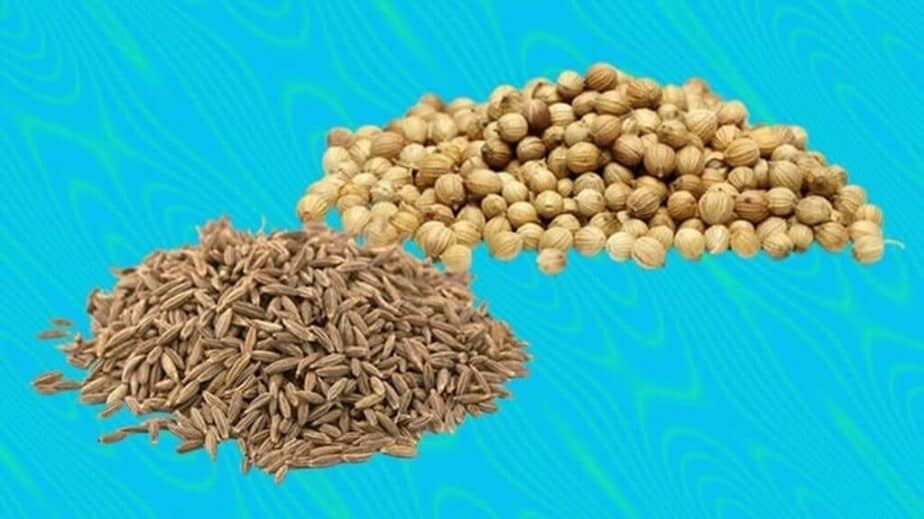 Coriander Versus Cumin