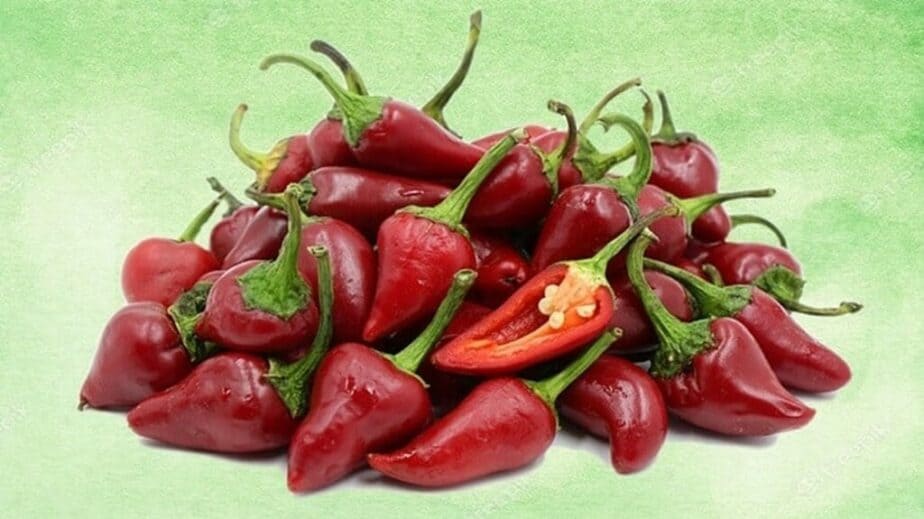 Calabrian Chili