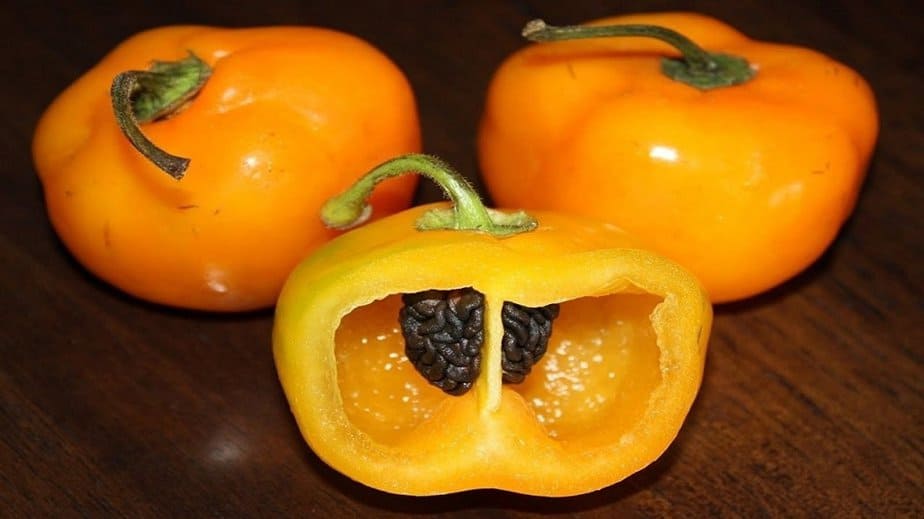Manzano Orange Pepper
