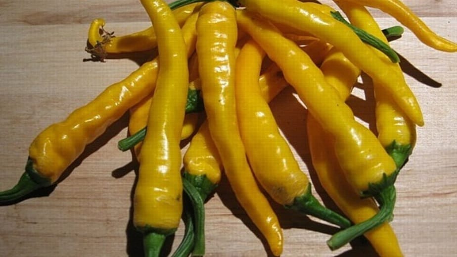 Yellow Cayenne Pepper 