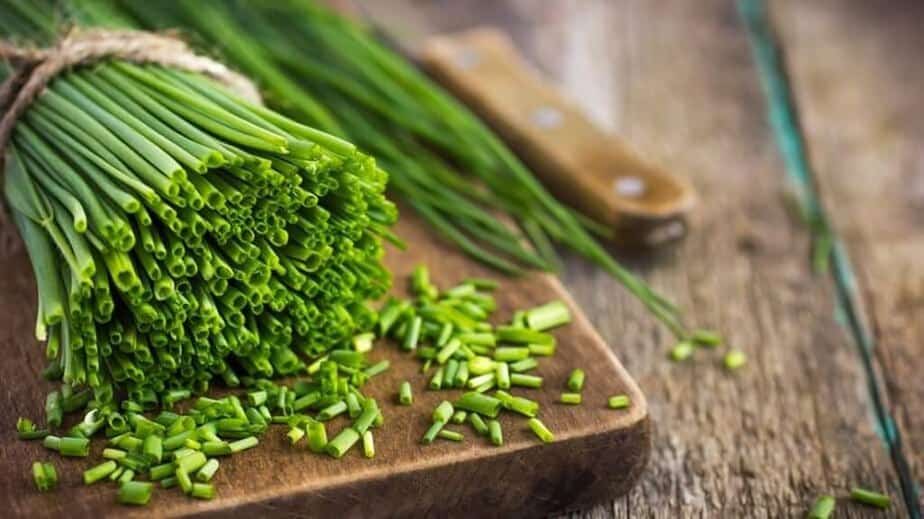 What Are Chives? – Look, Taste, Uses, Storage, Benefits
