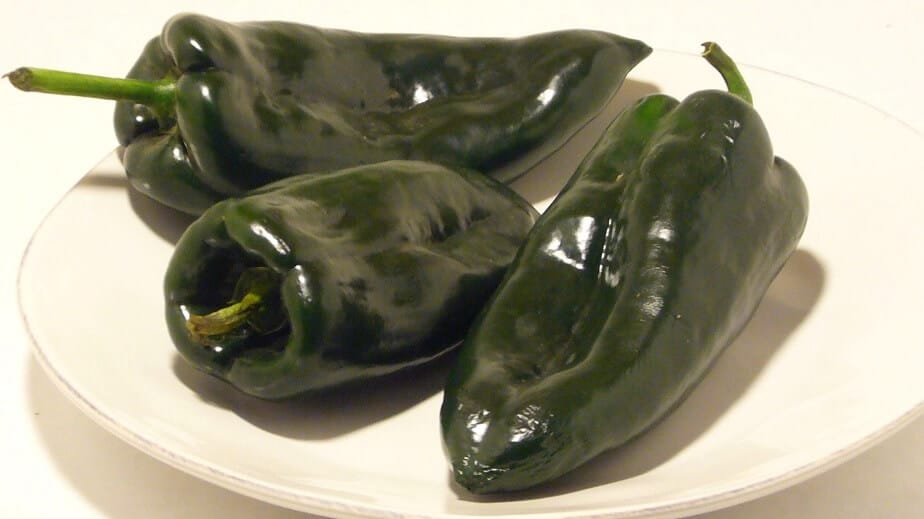 Green Poblano Chilies 