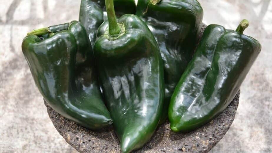 Poblano Peppers