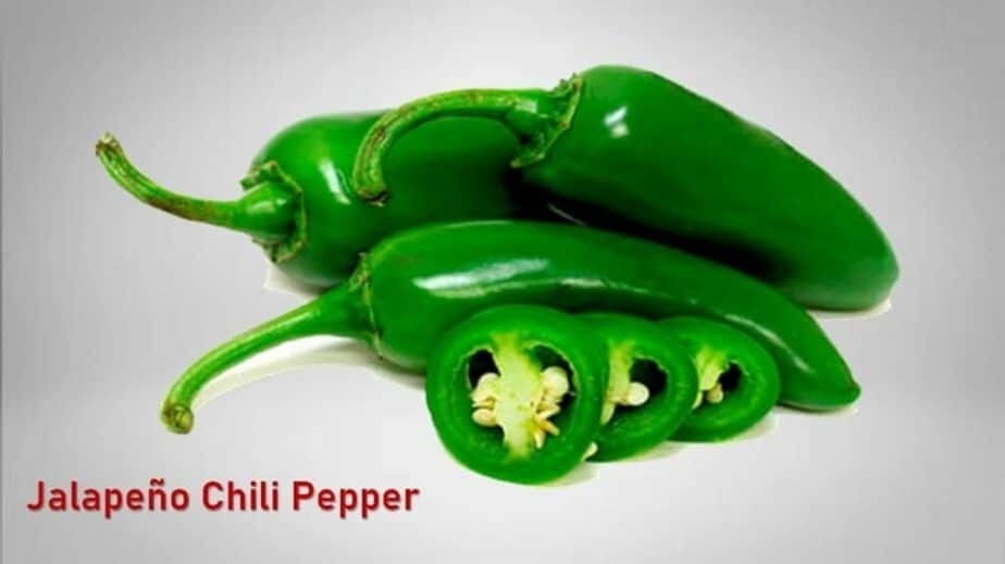 Jalapeño Chili Pepper