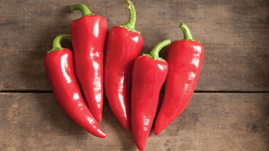 Red Fresno Chili Pepper 