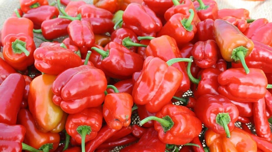 Mature Red Cajun Bell Peppers
