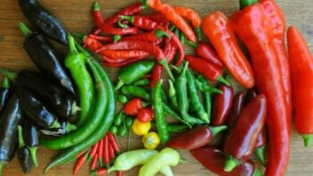 Thai Chili Peppers Scoville, Type, Flavor, Recipes