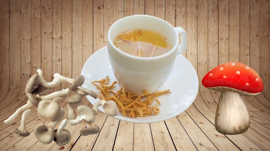 how to make shroom tea