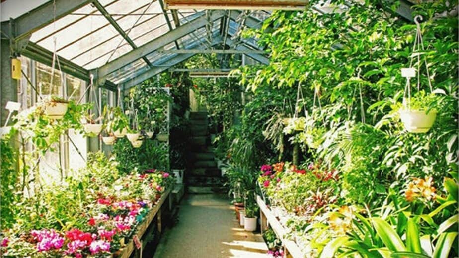 health benefits of greenhouse gardening