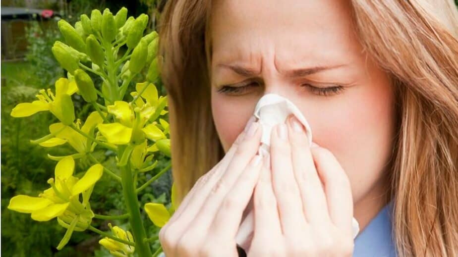 allergy, allergy treatments